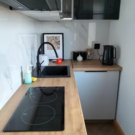 Uroczy Apartament W Centrum Krakowa Exterior foto